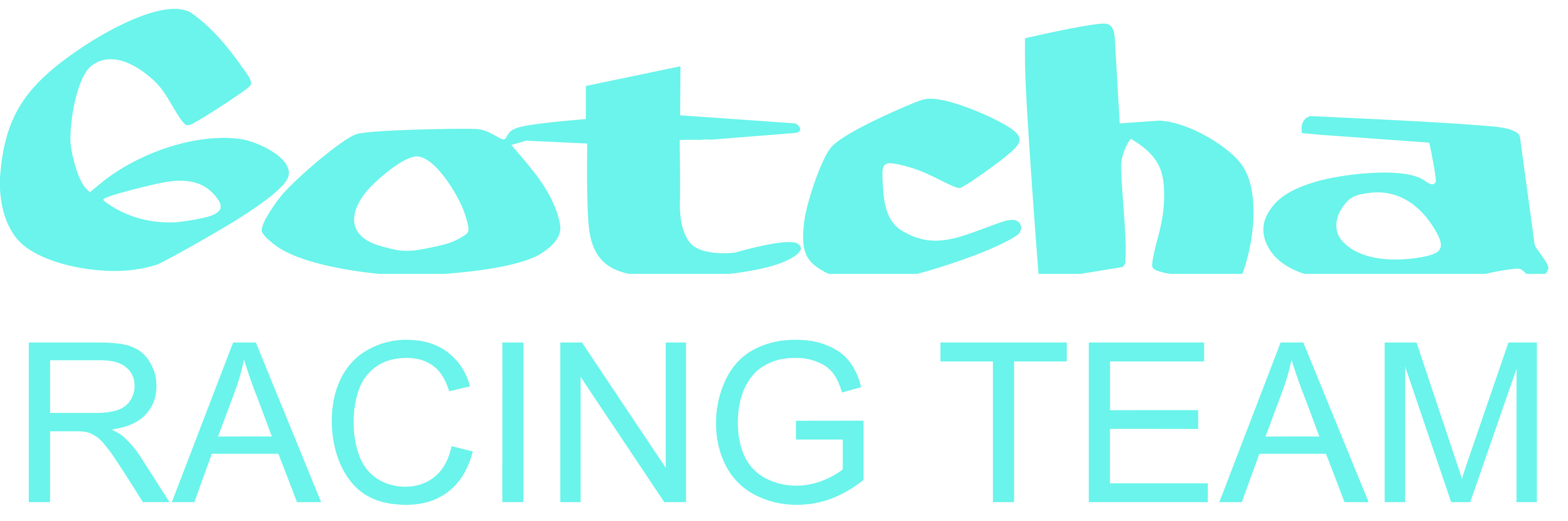 Gotcha Racing Team